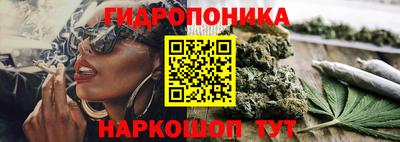 крисы Краснознаменск