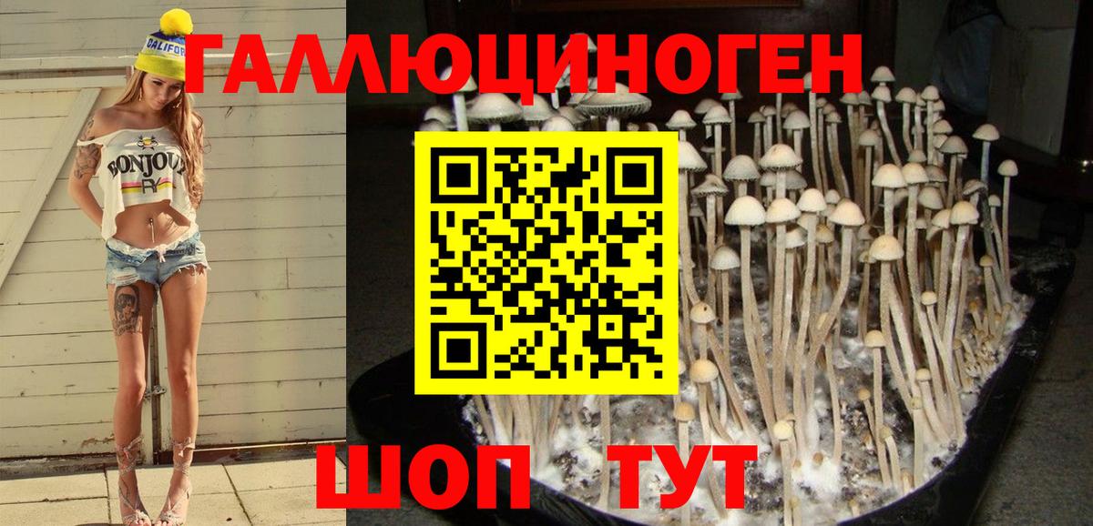 Псилоцибиновые грибы мухоморы Калач-на-Дону