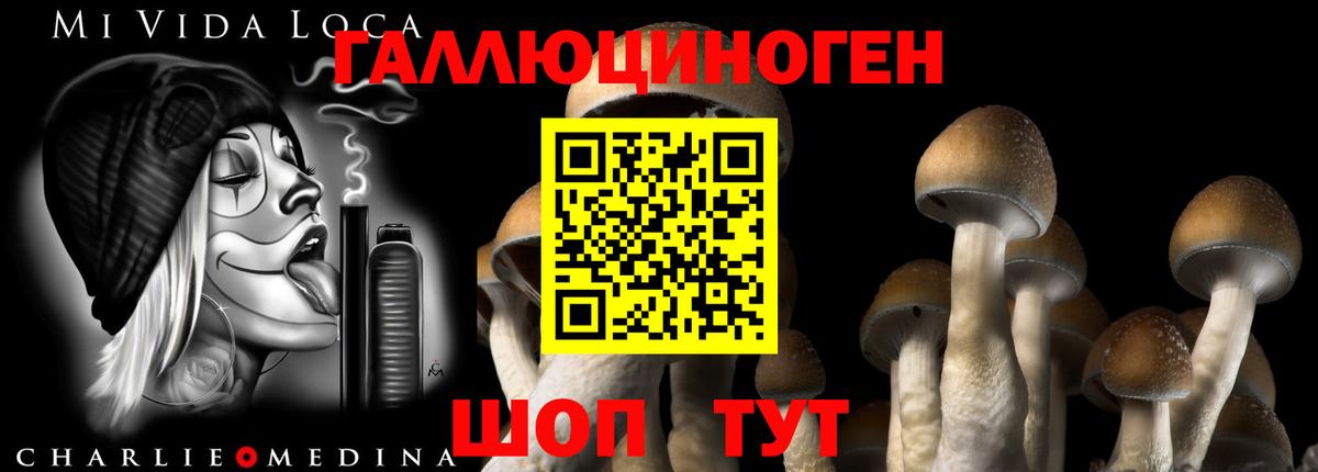 сколько стоит  Псилоцибиновые грибы Psilocybine cubensis  Вход с VPN  Калач-на-Дону  Галлюциногенные грибы мухоморы 